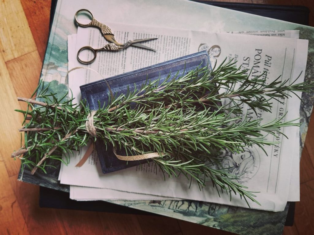 Can Rosemary Water Boost Hair&nbsp;Growth?